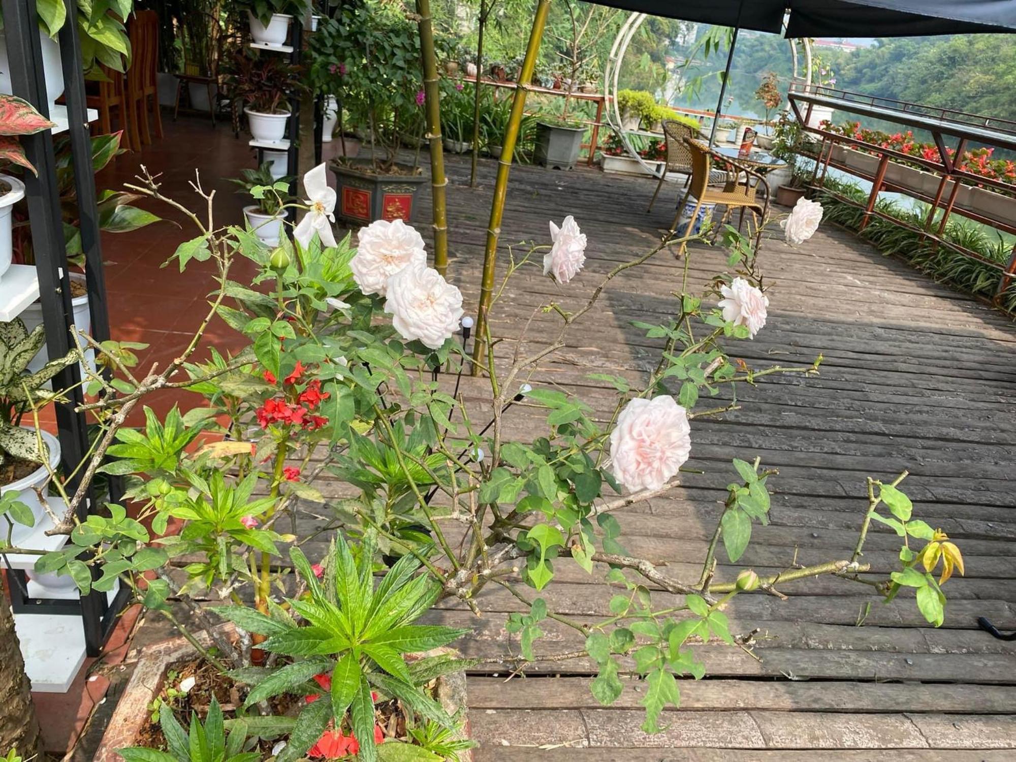 Garden Villa Ha Giang Exterior foto